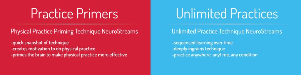 Neurostream Training